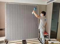 果皮能有效除甲醛吗？